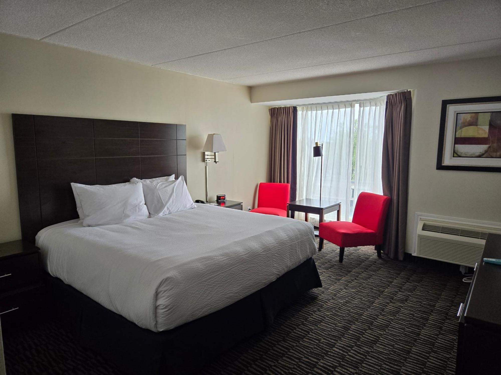 Ramada Plaza By Wyndham Niagara Falls Habitación foto