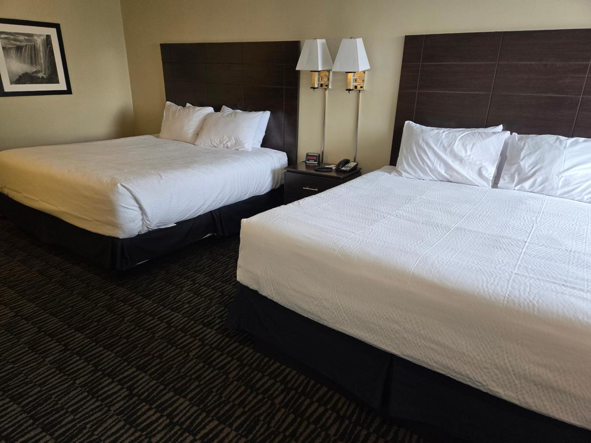 Ramada Plaza By Wyndham Niagara Falls Exterior foto